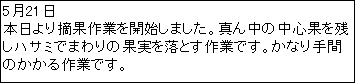 �e�L�X�g �{�b�N�X: 5��21��
�{�����E�ʍ�Ƃ��J�n���܂����B�^�񒆂̒��S�ʂ��c���n�T�~�ł܂��̉ʎ��𗎂Ƃ���Ƃł��B���Ȃ��Ԃ̂������Ƃł��B